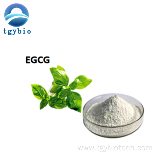 Green Tea Extract Polyphenol 98% EGCG 40% Catechins